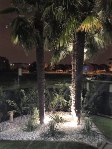 Faretti LED illuminazione piante alberi